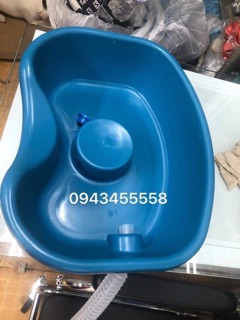 Máng gội đầu