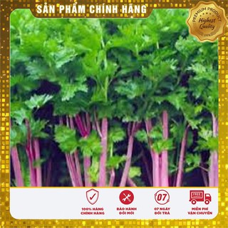 Hạt Giống Cần Tây Đỏ Hà Lan(2gr)