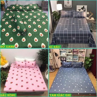 HCM Bộ ga gối poly Drap 1m6x2m mã hàng M07