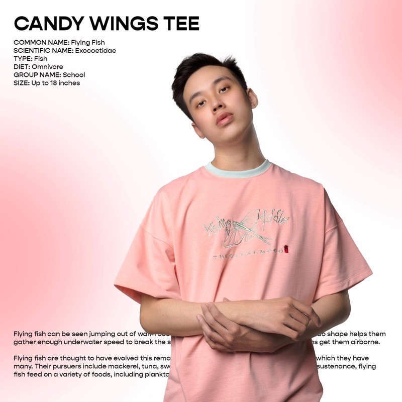 Áo thun Candy Wings màu hồng ngắn tay Kiem.lamot thêu cá nhỏ | BigBuy360 - bigbuy360.vn