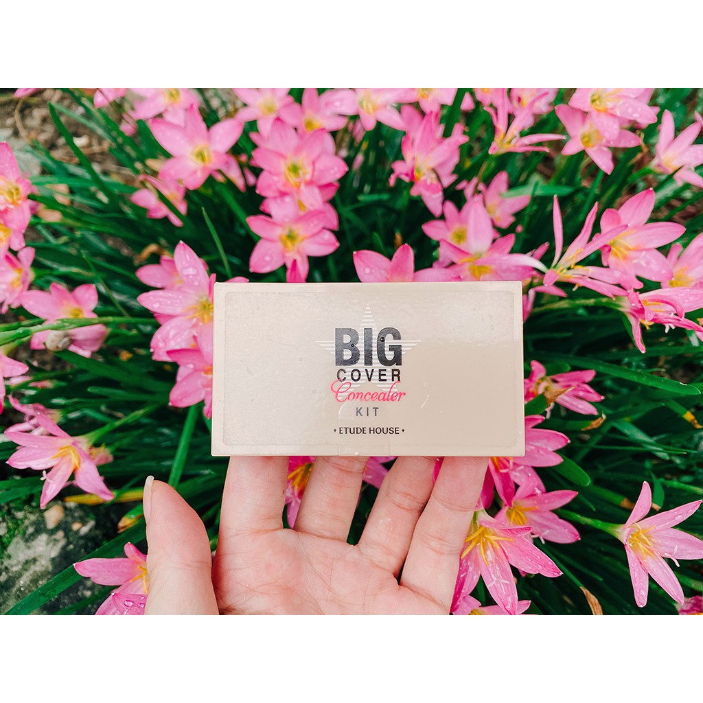 Che khuyết điểm Big Cover Concealer Kit