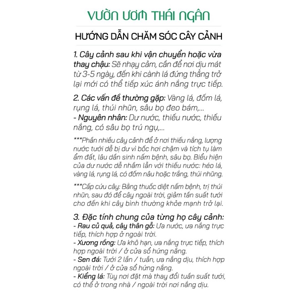 Phân Đạm Cá Thủy Phân Đậm Đặc Chuyên Dùng Cho Cây Rau