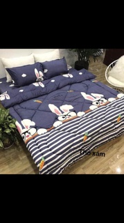 [GIÁ HỦY DIỆT] Bộ Chăn Phao 5 Món Ga Gối [Loại Bông Dày]