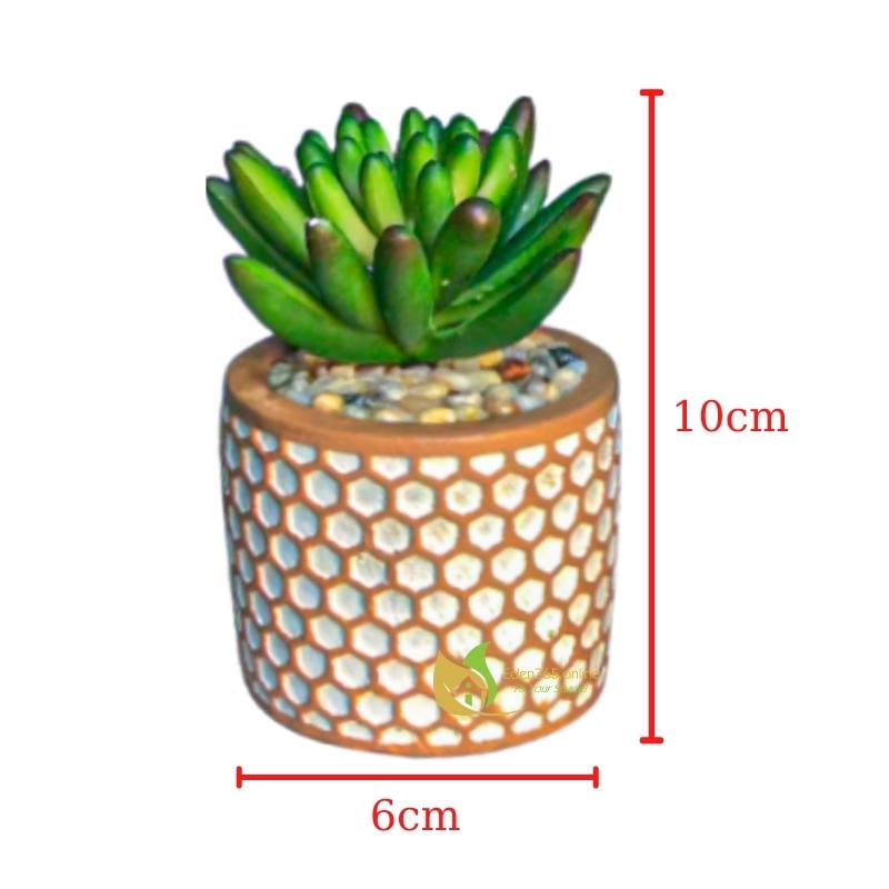 Bộ 4 chậu sen đá trang trí, chậu sen đá mini nhân tạo họa tiết tổ ong dễ thương, trang trí decor quá cafe, bàn làm việc