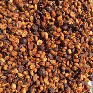 ROBUSTA Cà phê hạt rang xay+ pha máy pha phin cafe dak lak