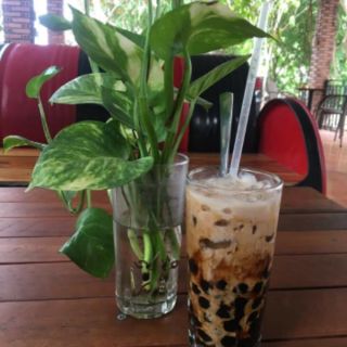 Set nấu trà sữa tại nhà
