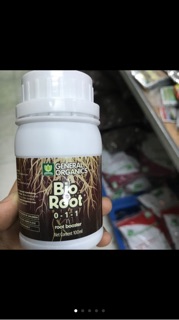 Siêu kích rễ Bioroot- chai 100ml