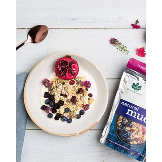 Ngũ Cốc Muesli - Hỗn Hợp Mắc Ca Và Nam Việt Quất