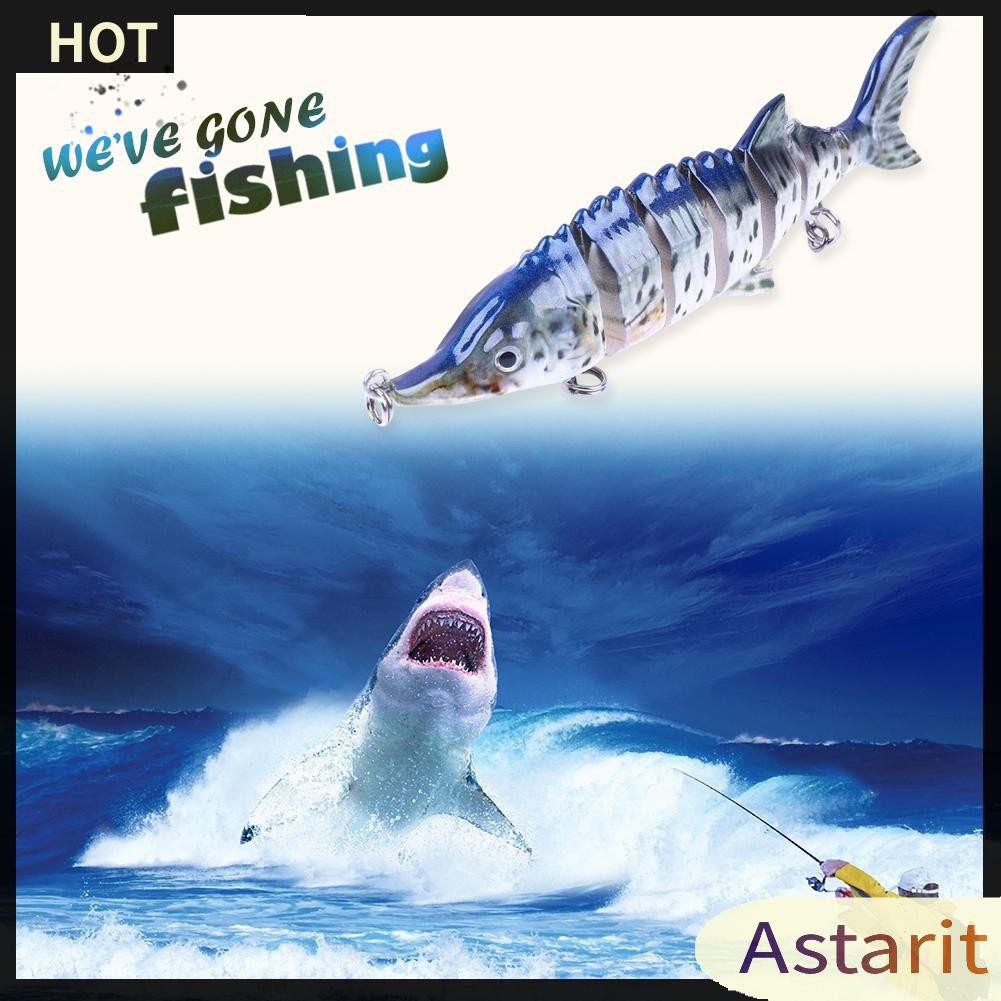 Mồi Giả Câu Cá 11cm 16g