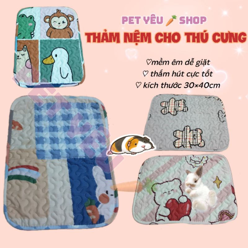 Thảm nệm lót chuồng (30×40cm) ❤Freeship❤ mềm dễ giăt và êm thỏ bọ chinchilla chó mèo