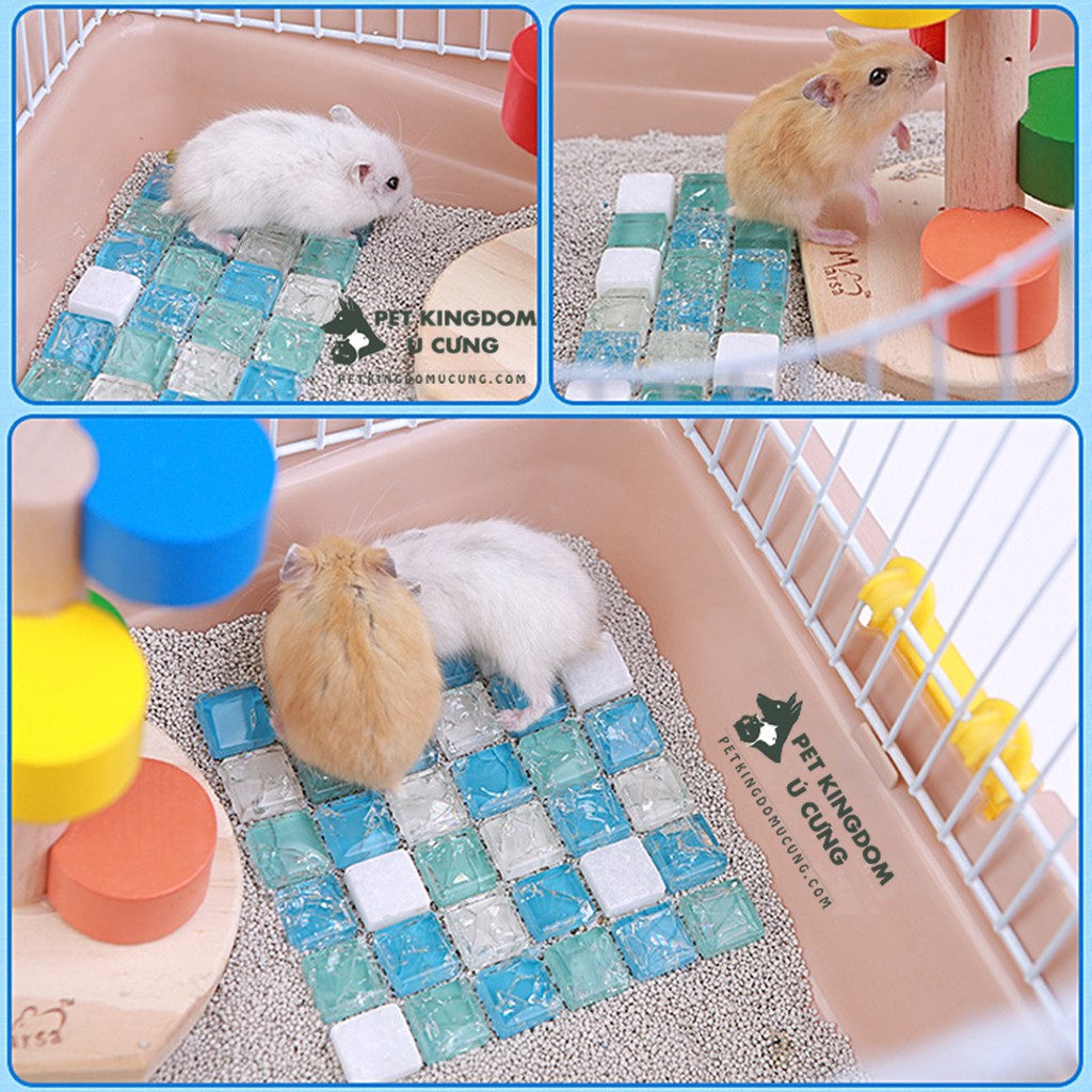 Đá làm mát tản nhiệt mùa hè cho hamster