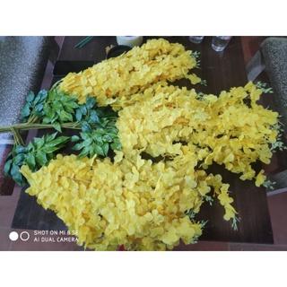 Combo 50 cành rủ tử đằng màu vàng