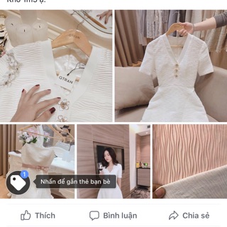 Vải phạm ngọc diệp