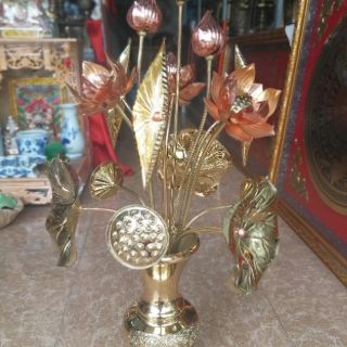 Hoa sen thờ đồng bó 15 bông