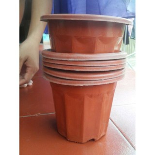 - combo 10 chậu rộng 23cm cao 20cm hàng cty, loại 1.