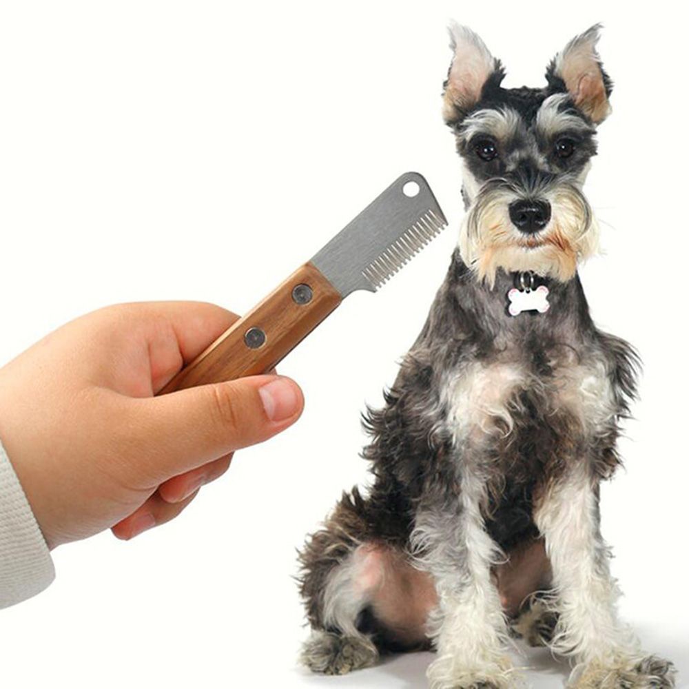 1 lược chải lông thú cưng tay cầm gỗ bằng thép không gỉ tiện dụng