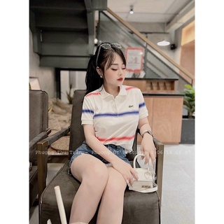 [Hàng sẵn] Áo phông polo nữ, áo phông nữ có cổ