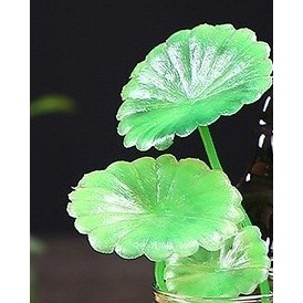 Thác khói trầm hương Thần Tài Vàng tặng kèm 5 nụ trầm + lá xanh | BigBuy360 - bigbuy360.vn