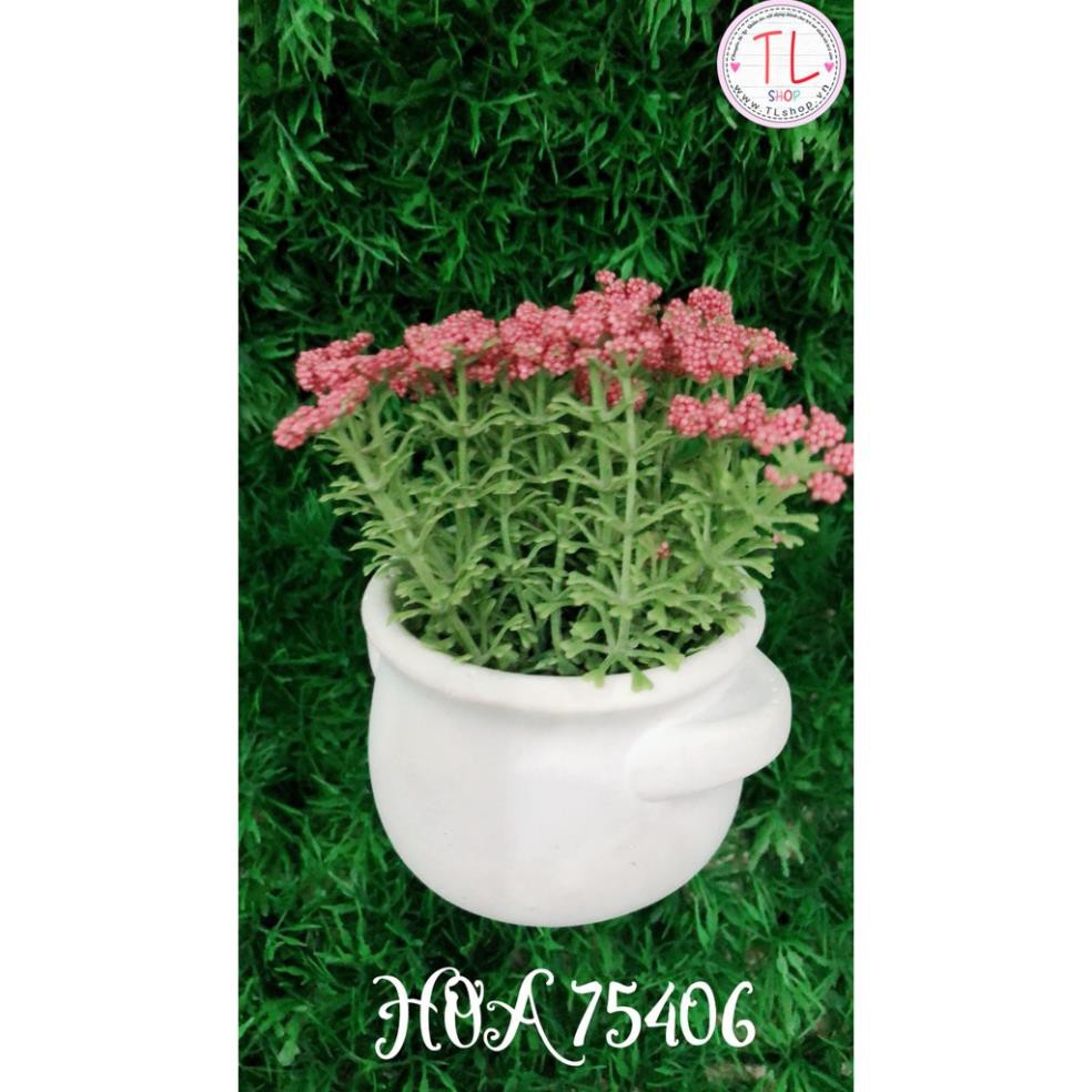 Chậu bông bi trang trí màu hồng