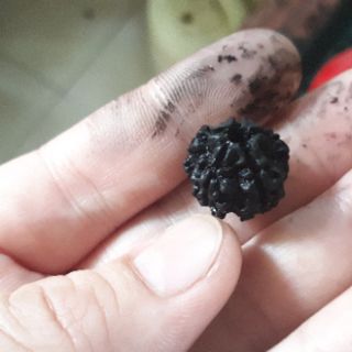 Dây chuyền hạt bồ đề kim cang
