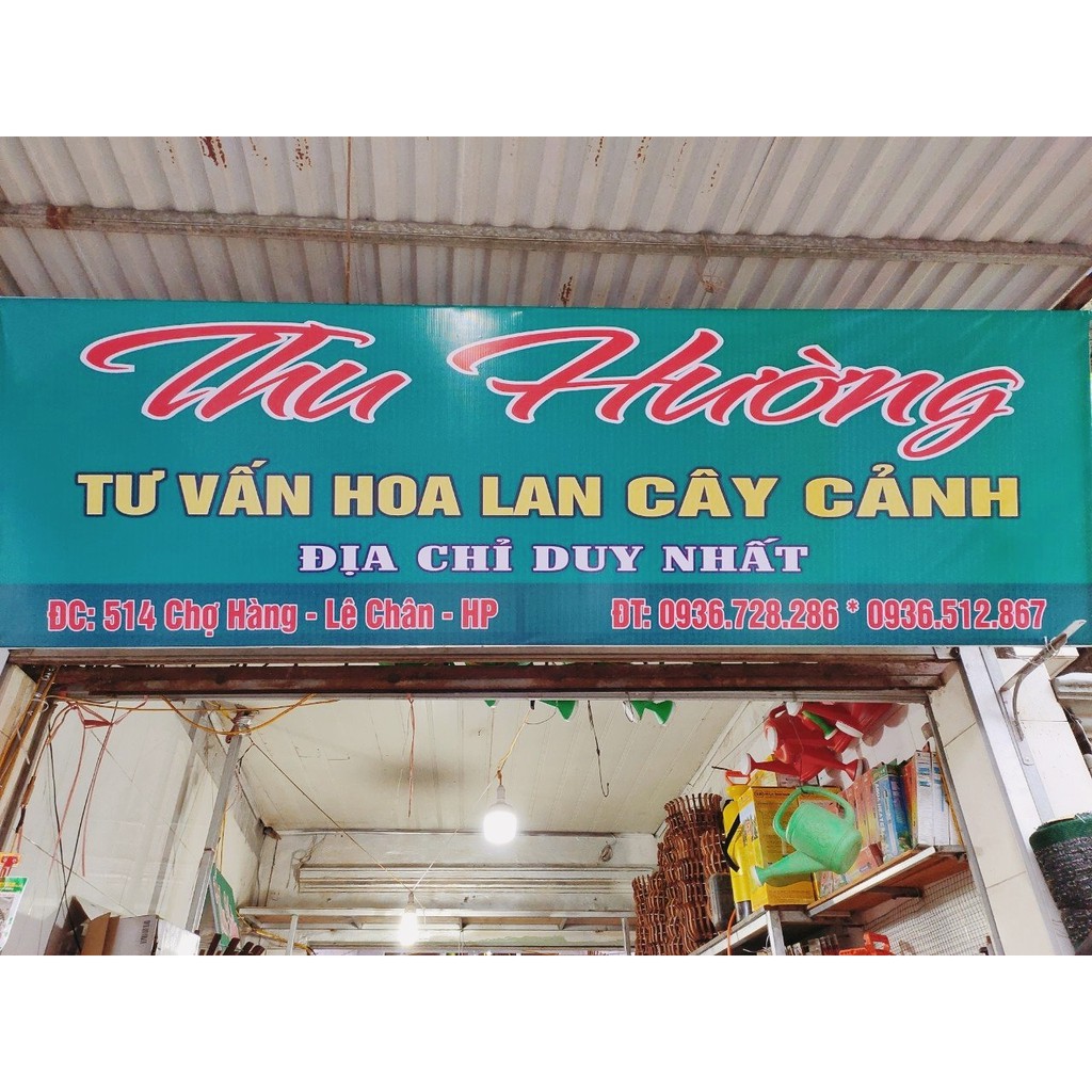 Giá Thể Trồng Lan Cao Cấp Thu Hường (1KG)