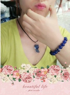 Bộ hồ ly xanh biển