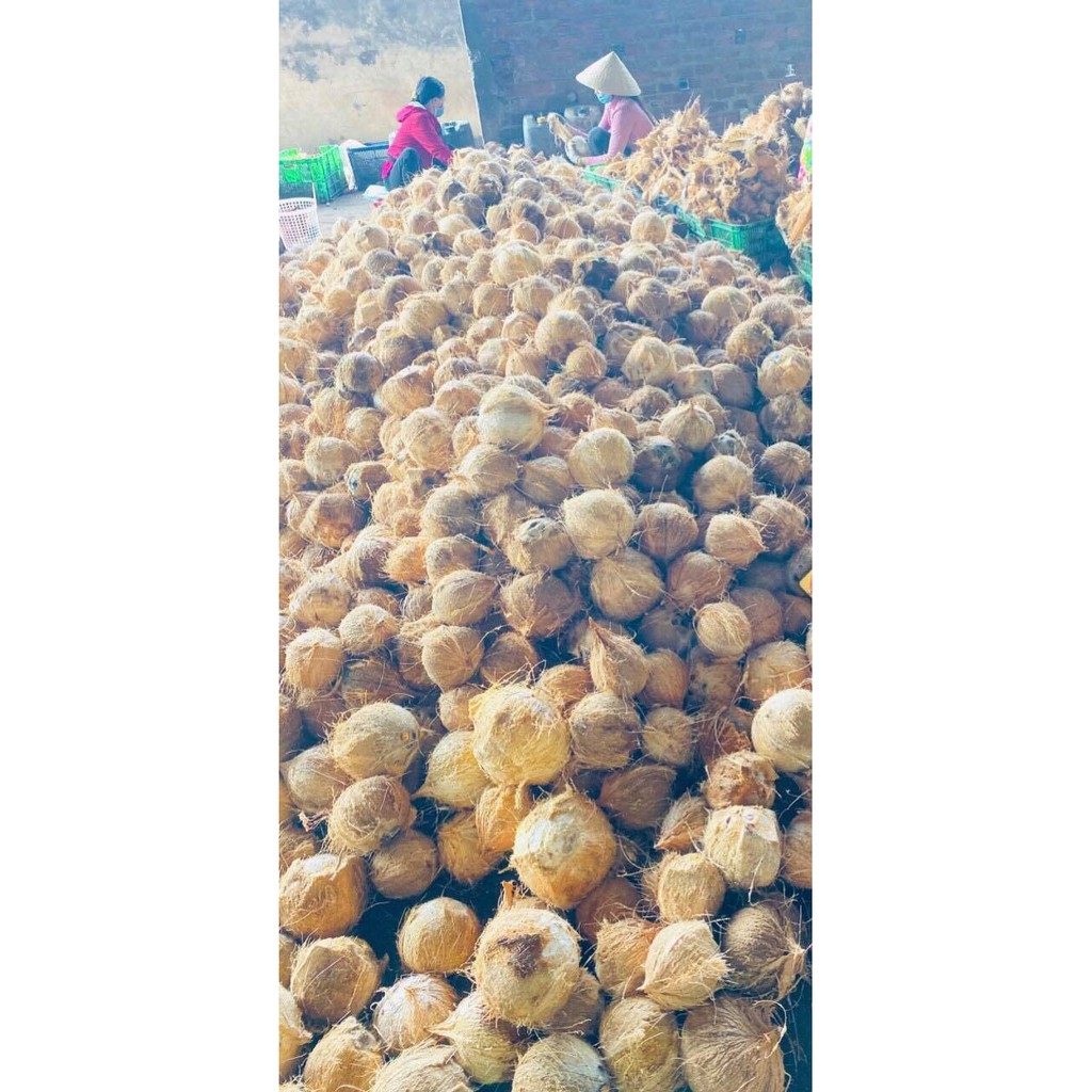 0.5KG KẸO DỪA DẺO BẾN TRE MIX VỊ SIÊU NGON ĂN LÀ NGHIỀN