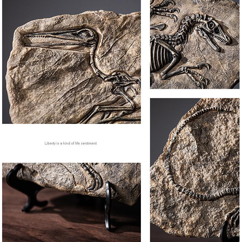 MÔ HÌNH DECORATE HÓA THẠCH KHỦNG LONG 34CM HÀNG ĐẸP CHẤT LƯỢNG TỐT