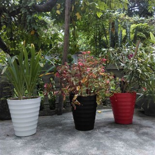 - (HOT)Combo 10 Chậu nhựa trồng hoa hồng cỡ lớn cao 35 cm rộng 32cm