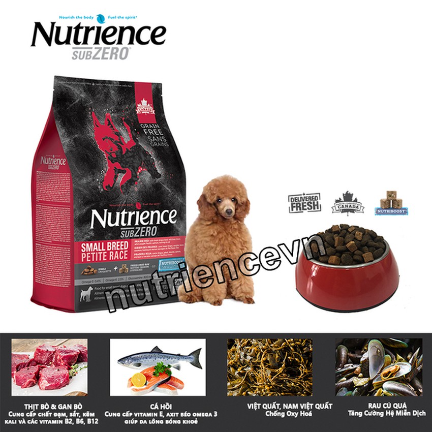 Thức Ăn Cho Chó - Nutrience Subzero Bao 500g Thịt Gà Tây, Cá Hồi, Cá Trích, Cá Tuyết, Trái Cây, Rau Củ &amp; Trái Cây