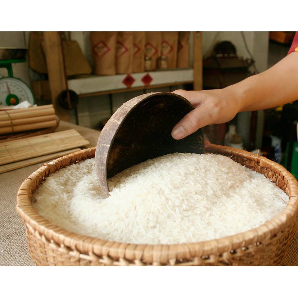 Chén  Gáo Dừa Tự Nhiên One4One  / Coconut Bowl