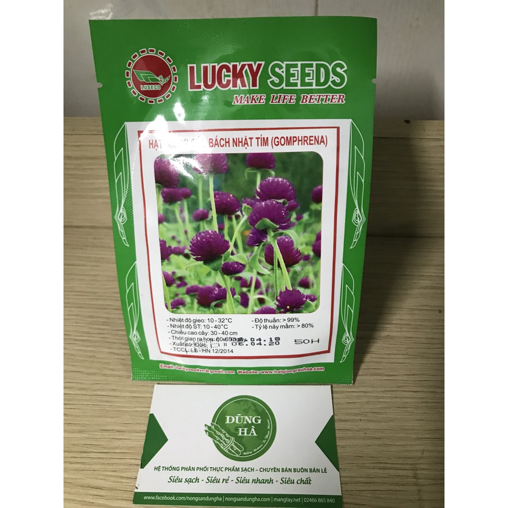 Hạt giống hoa cúc bách nhật tím gói 50 hạt