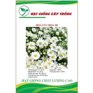 Hạt giống hoa cúc họa mi ct475 - gói 50 hạt