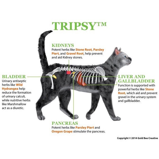 NHV TRIPSY - Giải Pháp Giải Độc &amp; Hỗ Trợ Thận ở Chó / Mèo Dietary Supplement