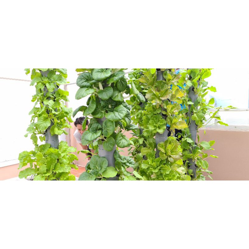 1 Trụ khí canh TẶNG 40 chậu nhựa đen: linh kiện làm hệ trồng rau khí canh