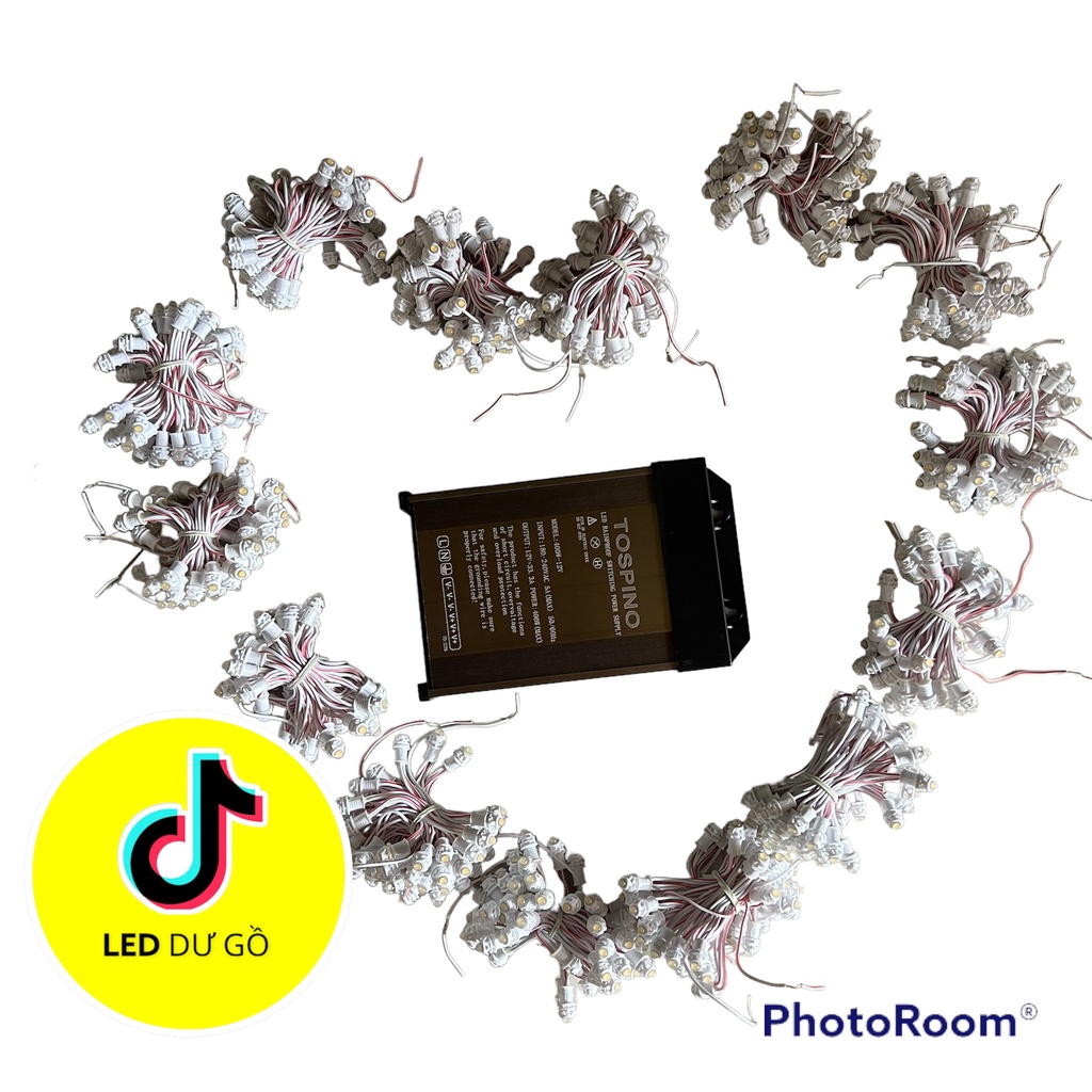 Combo led quấn cây và nguồn  trang trí ngoài trời