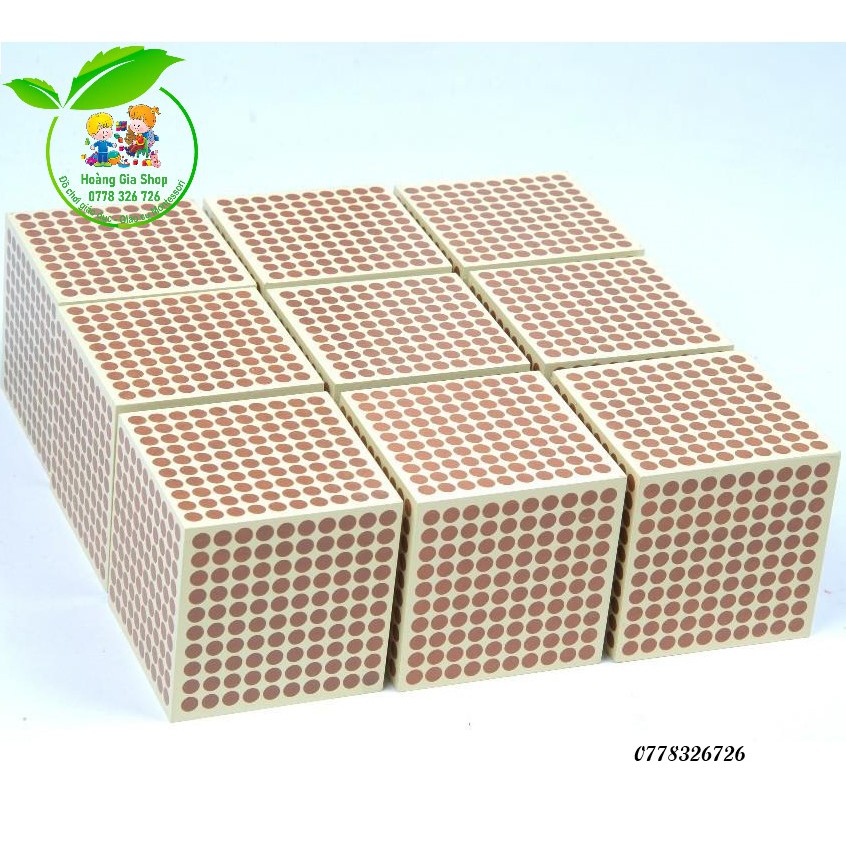 Bộ 9 khối gỗ 1000 Montessori (9 Wooden Thousand Cubes)