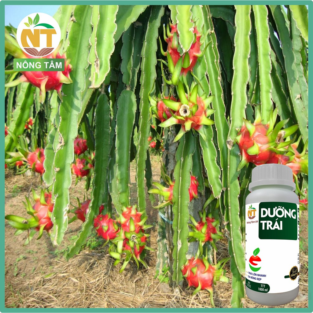 Phân bón siêu dưỡng trái Mix One chuyên dùng cho cây ăn trái, cây công nghiệp, chai 1000ml