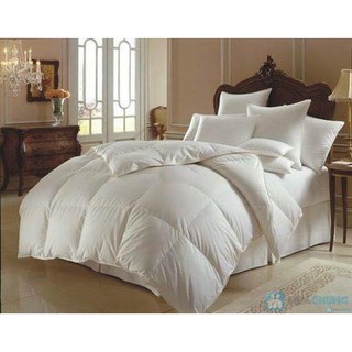 [Rẻ Vô Địch]Ruột chăn bông cao cấp