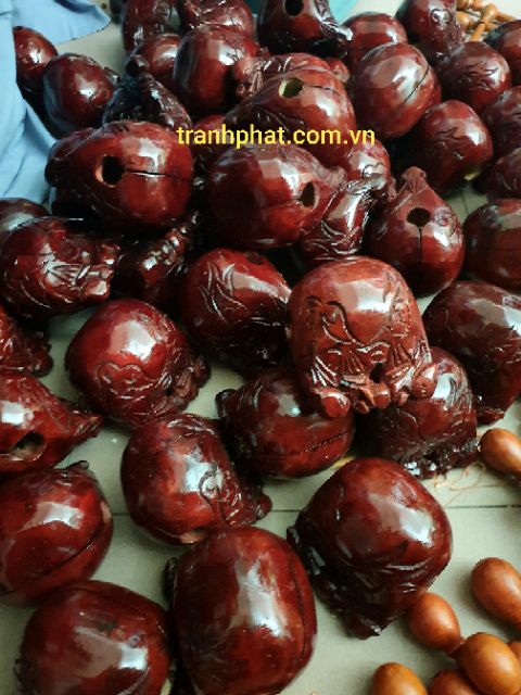 Mõ rẻ gỗ mít dk 9cm 10cm 12cm 15cm