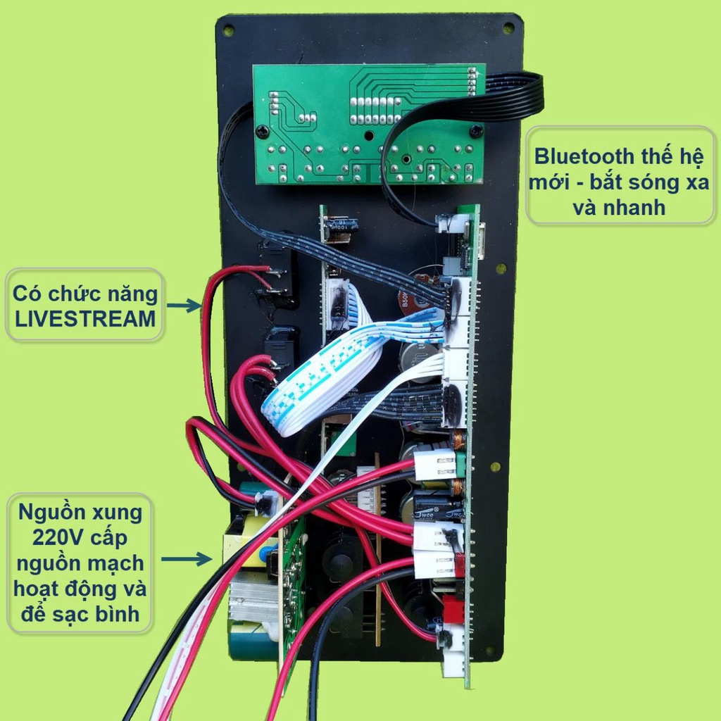 Mạch loa kéo LIVESTREAM DSP lập trình chống hú IC CS8676 công suất 60W – 120W có nguồn xung - guitar điện