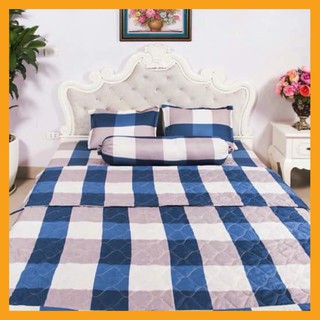 HCM Bộ ga gối poly Drap 1m6x2m mã hàng M07