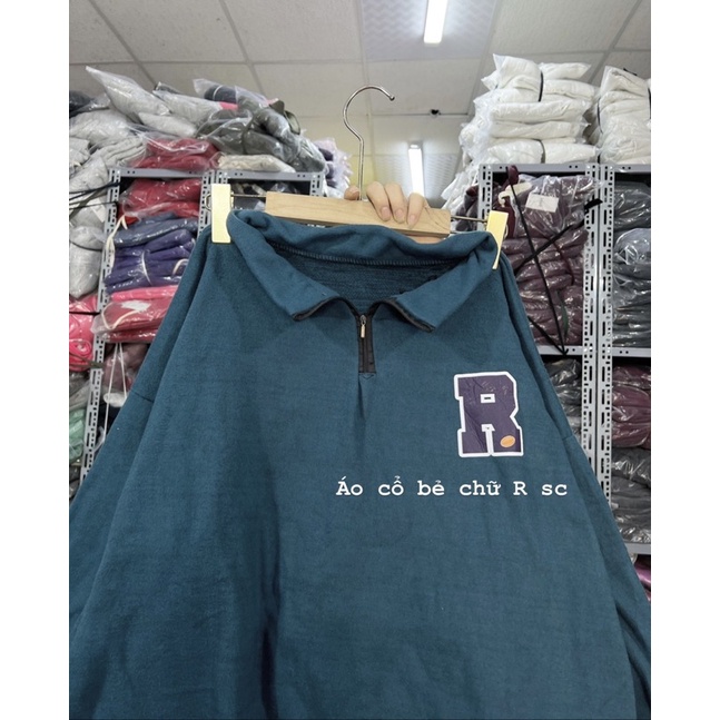 Áo polo nỉ chữ R TT8