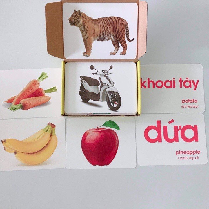 Bộ Thẻ Học Thông Minh Loại To A5 Cho Bé FlashCard Song Ngữ Việt Anh Dạy Trẻ Về Thế Giới Xung Quanh