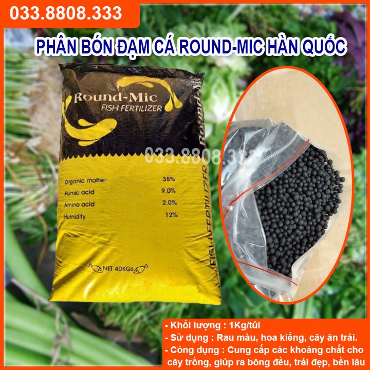 Đạm Cá Hàn Quốc Round Mic 100g - Hàng Tốt Giá Rẻ, HÀNG Tốt