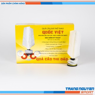 Quả Cầu đá Thi đấu Quốc Việt