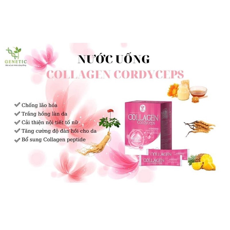 Nước uống trắng da mờ nám Collagen Cordyceps viện Hàn Lâm KHCNVN | Thế Giới Skin Care