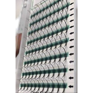 mi khay volume katun cong CC, 5D