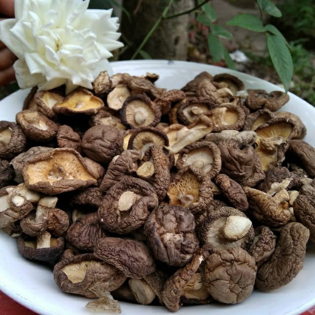 Nấm hương khô 100g