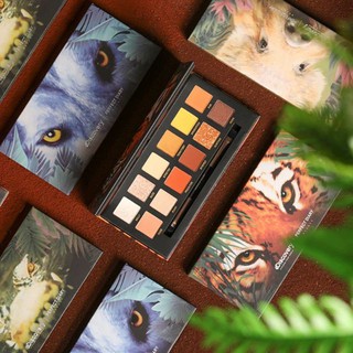 Phấn Mắt Perfect Diary Discovery Eyeshadow 12 ô